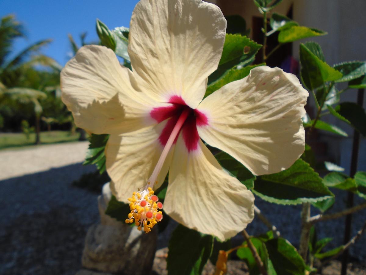 Serenity Sands Corozal Exterior foto